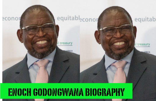 enoch godongwana biography