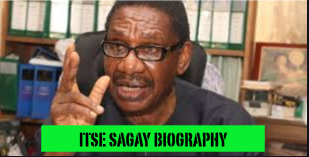 itse sagay biography